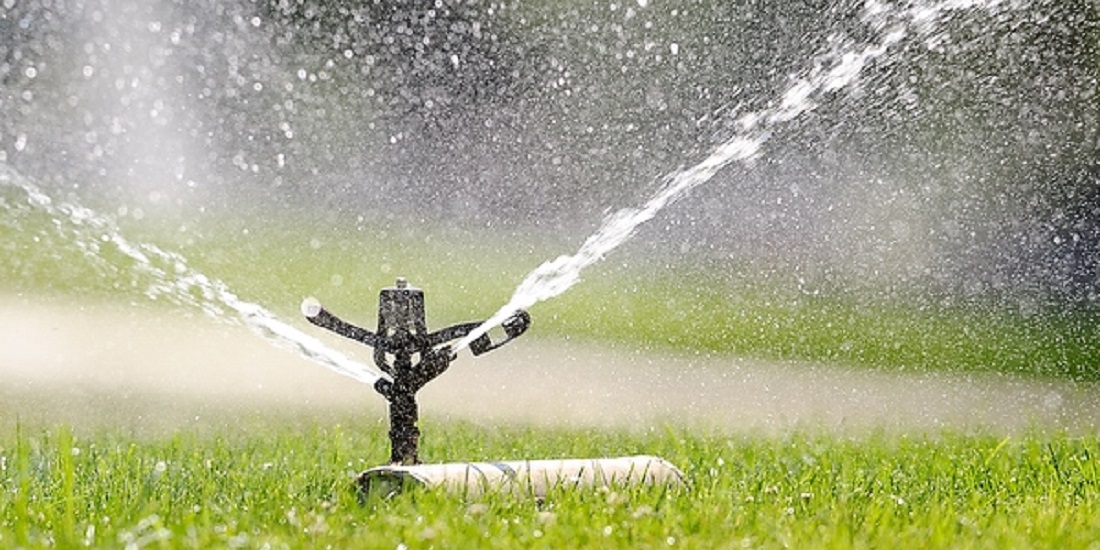 Sprinkler watering a newly established lawn