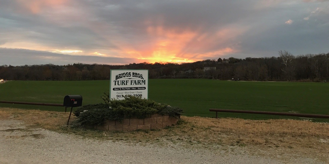 Sunset over the Briggs Brothers Turf Farm sign