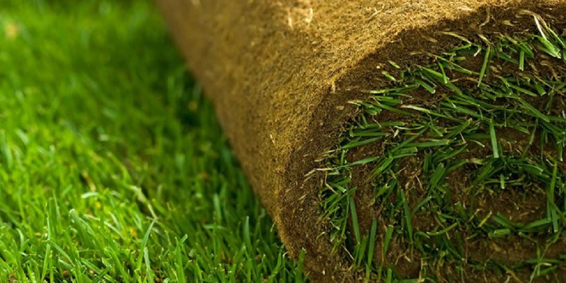 Sod installation in progress